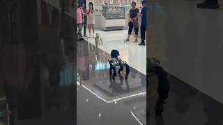 Robo Dogs , Things We See In Chinese Malls 😍 #China #Shorts