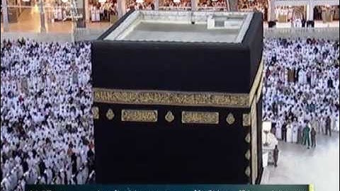 الشيخ / عبدالله بن عواد الجهني تلاوة من سورة فاطر .:.