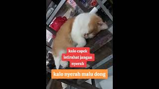 Lagi santai kawan 😅