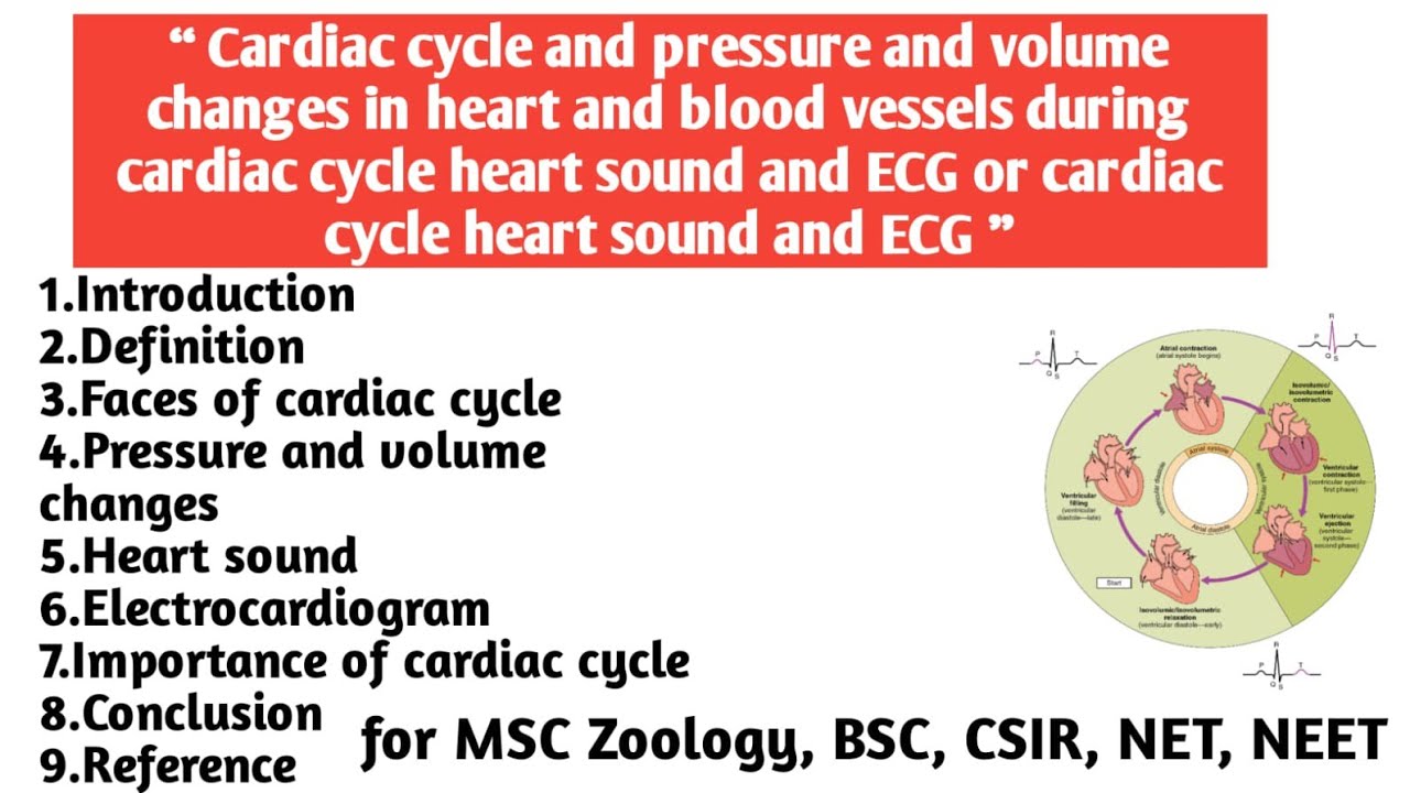 Cardiac cycle heart sound and ECG | Faces | Pressure & volume changes ...