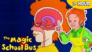 The Human Body  Nervous Circulatory And Digestive Systems   Episodes  The Magic School Bus