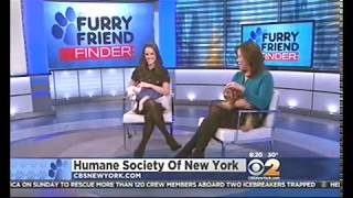 Cindy Hsu, Legs In Boots, Wcbs-Ny, 1514