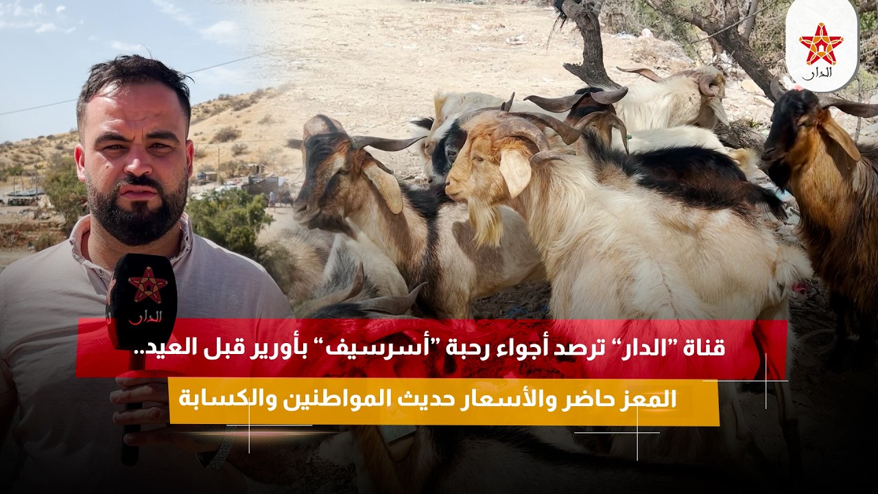 قناة “الدار” ترصد أجواء رحبة “أسرسيف” بأورير قبل العيد.. المعز حاضر والأسعار حديث المواطنين والكسابة
