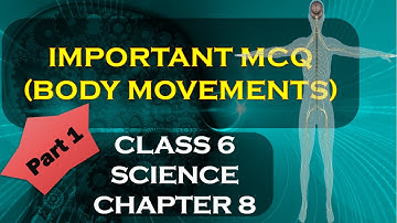 IMPORTANT MCQ OF CLASS 6 SCIENCE CHAPTER 8 | PART 1 | BODY MOVEMENTS | HIMANSHI BHATT
