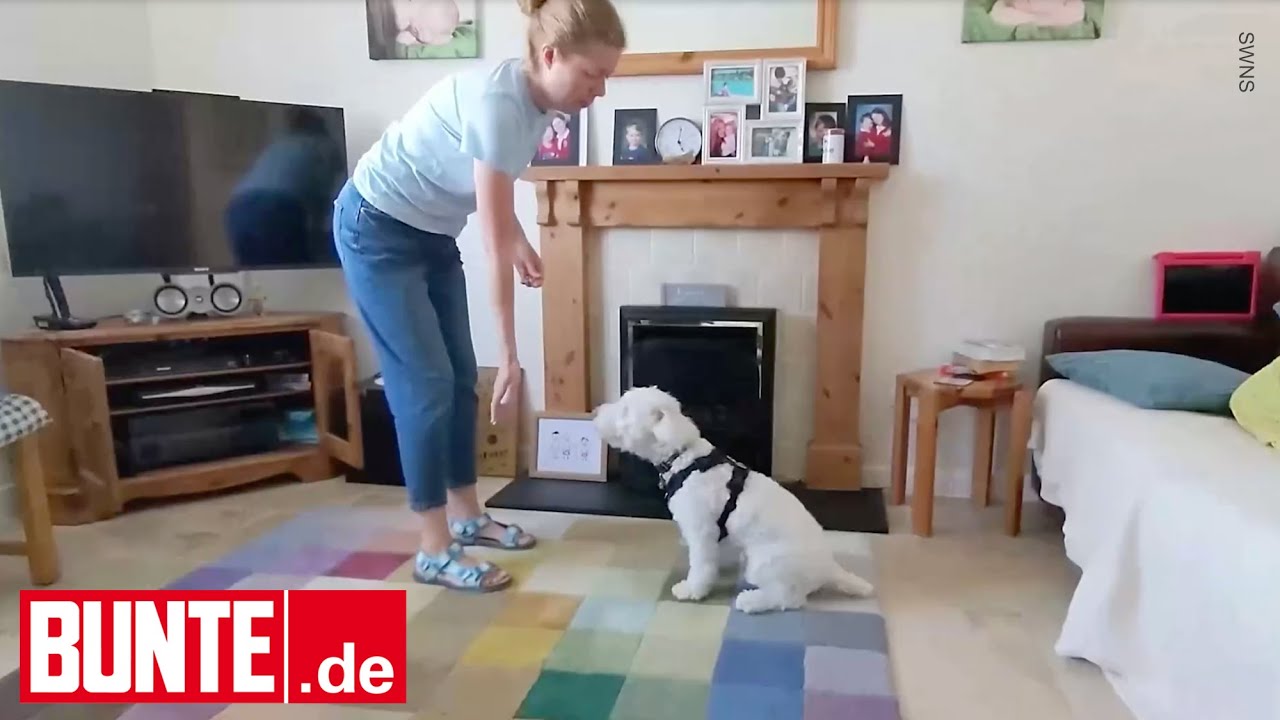 Ein vorweihnachtliches Wunder – Gehörlose Welpe beherrscht Zeichensprache