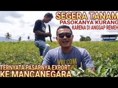 CARA MEMASANG PANGGANGAN HAPPY CALL YANG BAIK DAN BENAR 100% BERHASIL DENGAN SEMPURNA. Di Antara .... 