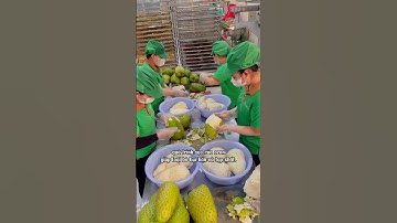 Sự khác biệt của MÃNG CẦU MUỐI ƠT 123FARM