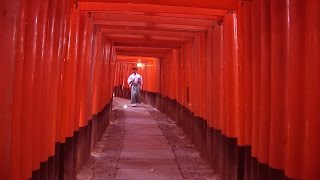 Fushimi-Inari-Taisha temple and gardens, Kyoto, Japan travel ...