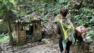 From Survival to a Home – A Single Mother Restores a Forgotten Wooden House Deep in the Forest
