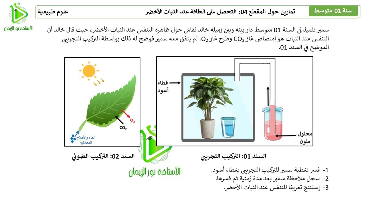 تمرين حول التحصل على الطاقة عند النبات الأخضر علوم طبيعية سنة 01 متوسط