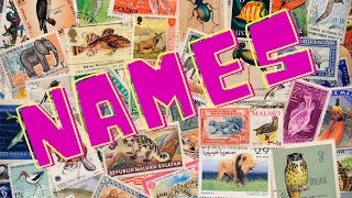 Names of animals, birds, and insects in English - Animal Names | Types of Animals| Teaching oasis