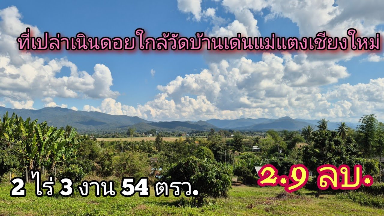 Ep.197 ที่ดินเปล่าเนินสโลปใกล้วัดบ้านเด่นแม่แตงเชียงใหม่ ️ 2 ไร่ 3 งาน 54 ตรว.เอกสารโฉนด ขาย 2.99ลบ.