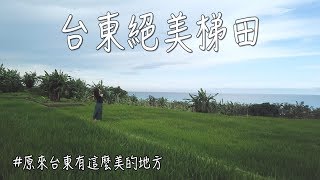 長濱在地人才知道！台東的絕美梯田秘境！｜林宣Xuan Lin