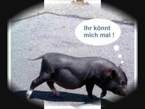 Matthias Reim Egal was solls