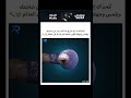 المسمار سيخرج من شاشتك وهم بصري خداع بصري تحدي المسمار   عجائب تفاعل