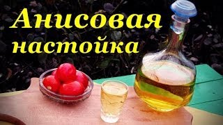 Анисовая настойка, рецепт настойки на водке