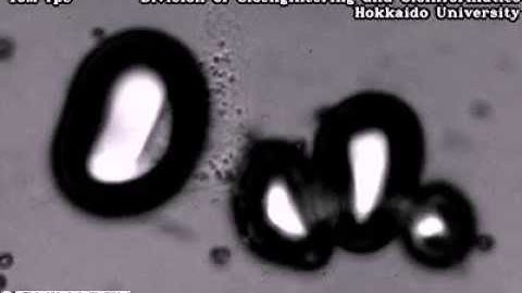 High-Speed Video Camera HPV-X2 – "The Destruction of Microbubbles in Proximity to Cancer Cells "