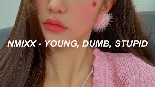 NMIXX &quot;Young, Dumb, Stupid&quot; Easy Lyrics