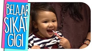 SEA UDAH MULAI SIKAT GIGI SERIUS SEJAK 1 TAHUN