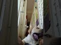 Tukoh Taka Funny рџђ рџ Јрџ Ј Tukoh Taka Funny рџђ рџ Јрџ Ј