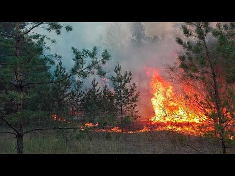 Пожар на горе