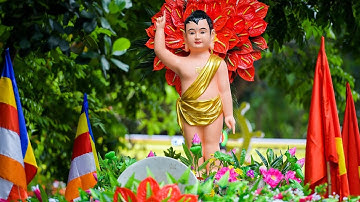 Nguồn gốc và ý nghĩa của Đại lễ Phật đản.Cách cúng lễ Phật đản rằm tháng 4 tại nhà.