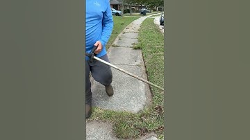 Sidewalk edge cleanup #timelapse #grass #lawn #lawncare #lawnmaintenance #yardwork #edge
