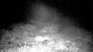 ghost.AVI