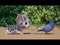 Sweet Pet Chi Episode 2 Chi Meets A Pigeon Sweet Pet Chi Episode 2 Chi Meets A Pigeon