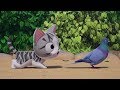 Sweet pet chi episode 2 chi meets a pigeon