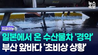 [자막뉴스] &#39;후쿠시마 수산물&#39; 막을 수 있나? .. &#39;비공개 보고서&#39;에 충격