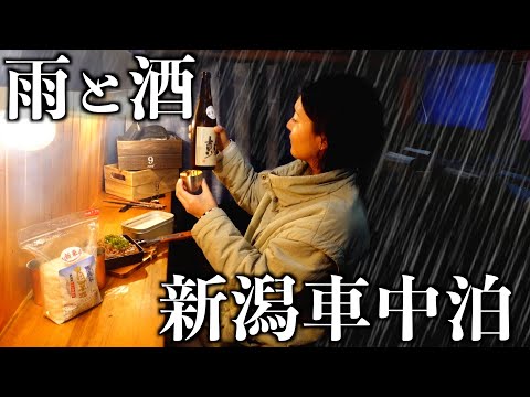 【雨の車中泊旅】車でめぐる新潟旅2日間。新潟のお米と日本酒で乾杯。日本の絶景清津峡。