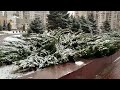 Шикарная снежная Красная горка  Евпатория 2022