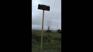 Big Brown Bat Sounds (No visuals)