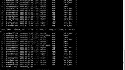brtools Offline backup  in Sap