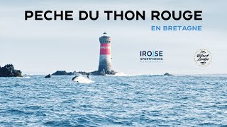 Pêche du Thon Rouge en Bretagne ( feat. Black Ledge Lures )