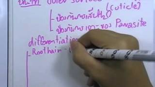 ormBio 039 : พืช (Plant World) ,ตอน05
