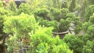 Download lagu Bangla song valobeshe jara kedese Bangla song valobeshe jara kedese