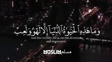 ما تيسر من سورة العنكبوت📖 بصوت الشيخ ياسر الدوسري .