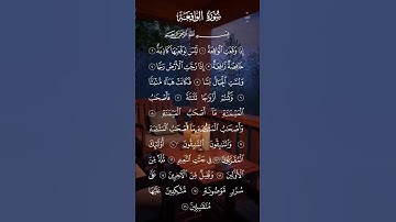 اسلام صبحي تلاوة عطرة بي نسيم الصباح #dress #الاكسبلور #الجزائر 🙏🏾♥♥♥♥♥♥♥🎁هدية مني اليكم