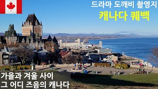 몬트리올 & 퀘백 여행 | 캐나다 제2의 도시 몬트리올, 화려한 라이트쇼 노트르담 대성당, 드라마 도깨비 촬영지 퀘벡시티, 매일 먹고 싶은 팀홀튼 아이스캡