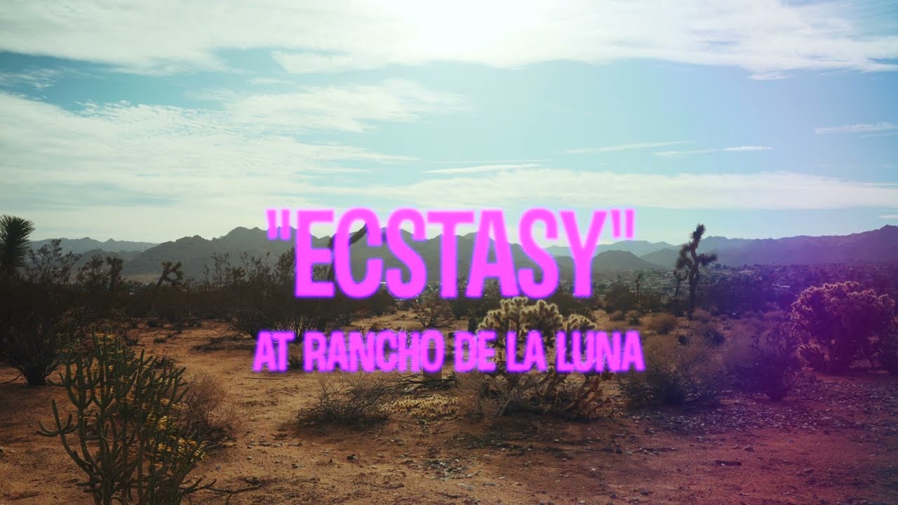 Watch AVALANCHE PARTY - ECSTASY on YouTube Watch AVALANCHE PARTY - ECSTASY on YouTube