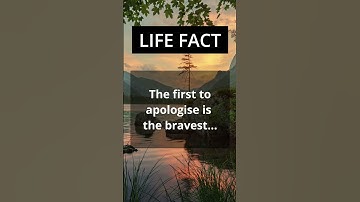 The first to apologise... #lovefact #lifefact #shorts