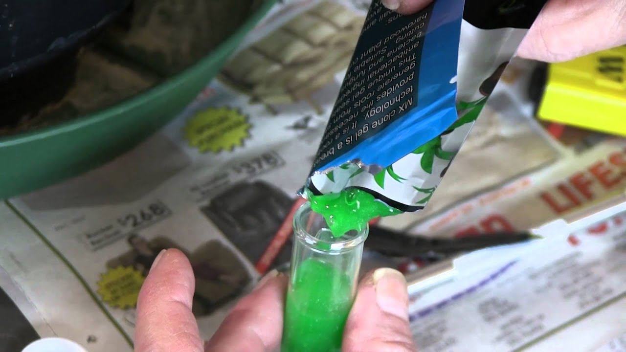 Grow Room Update; Cloning/Planting Seeds