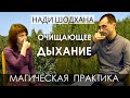 Дыхание очищающее энергетические каналы - пранаяма Нади Шодхана