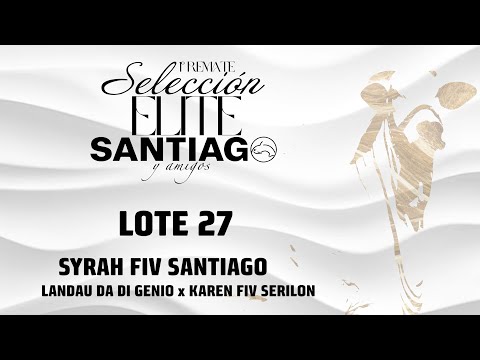 Lote 27   Sirah FIV Santiago