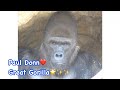 Last video of Paul Donn family 🦋🩷I will miss you Paul🌟✨✨😭