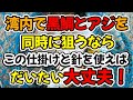 湾内で黒鯛と良型アジを同時に狙うなら、この仕掛けと針を使えばだいたい大丈夫！！（仕掛け解説あり）