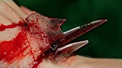 CRISTALES CLAVADOS - Makeup FX