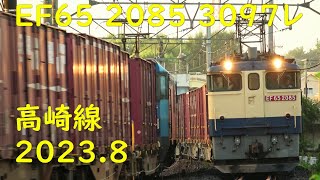 EF65 2085 3097レ 高崎線 2023.8.10